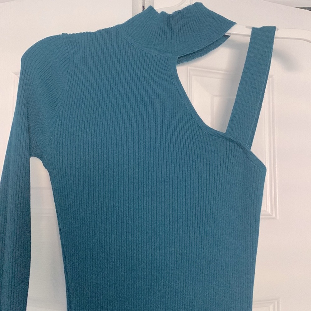 Venus- knee length bodycon sweater dress